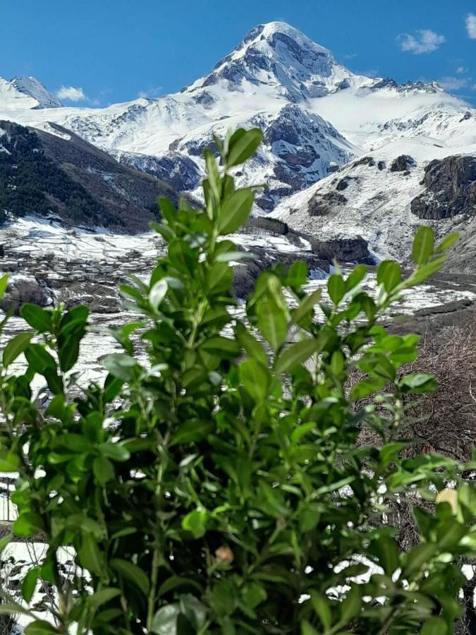 Emotion Kazbegi Apartamento Exterior foto