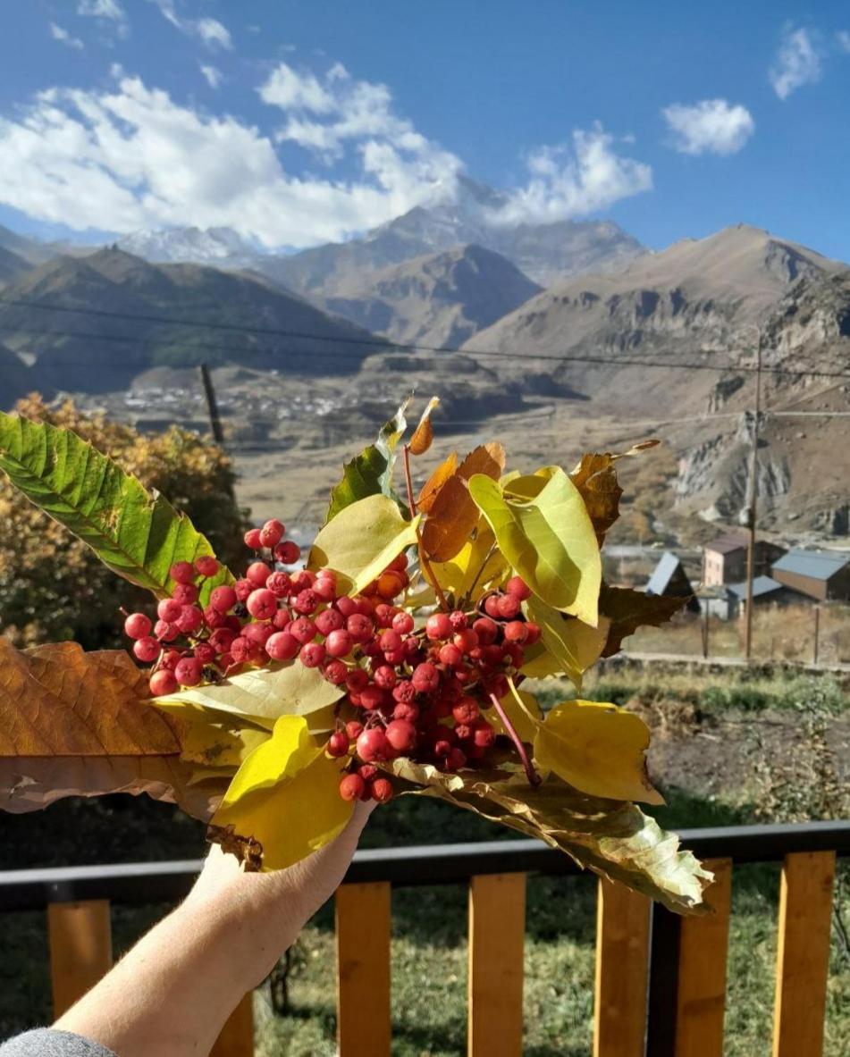 Emotion Kazbegi Apartamento Quarto foto