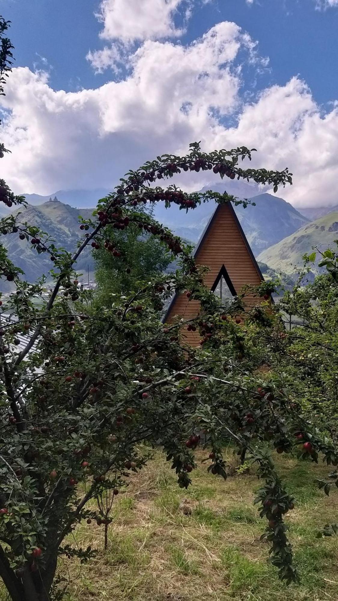 Emotion Kazbegi Apartamento Exterior foto